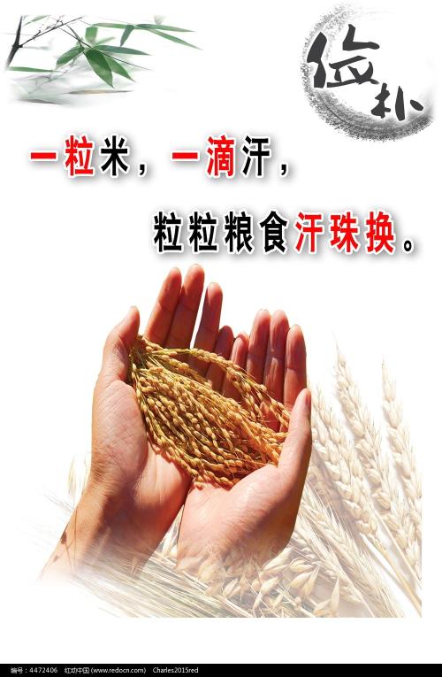 武庫川女子大学Diploma in Public Administration